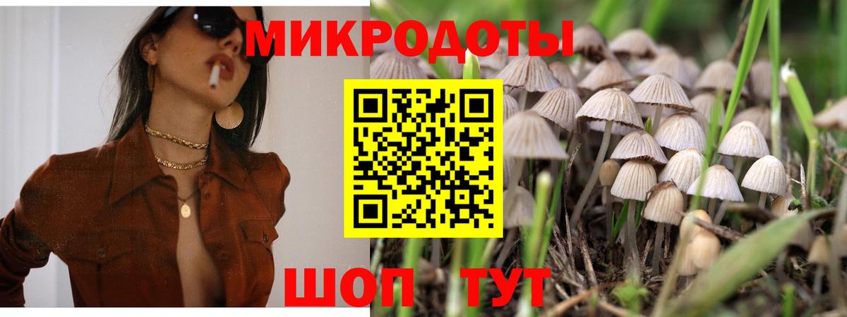 Псилоцибиновые грибы GOLDEN TEACHER  Галлюциногенные грибы мухоморы  Саранск  Вход с VPN 